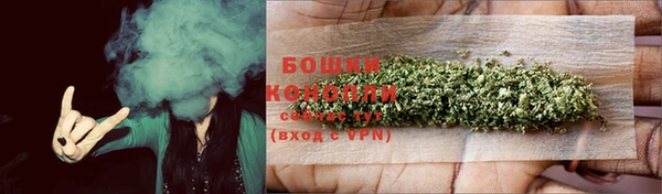 крисы Дмитров