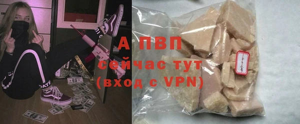 крисы Дмитров