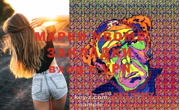 крисы Дмитров