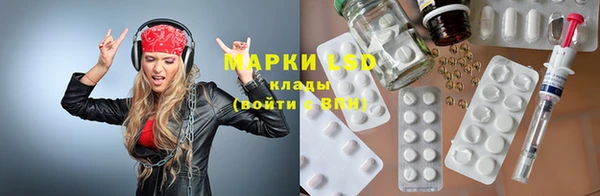крисы Дмитров
