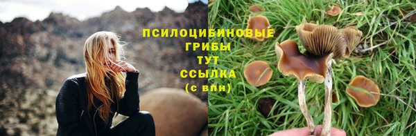 скорость Дмитриев
